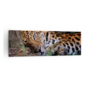 Cuadro sobre lienzo - Impresión de Imagen - Un leopardo tumbado a la sombra de los árboles. - 160x50cm - Confía en mí - Decoración de pared moderna para salón y dormitorio ARTTOR