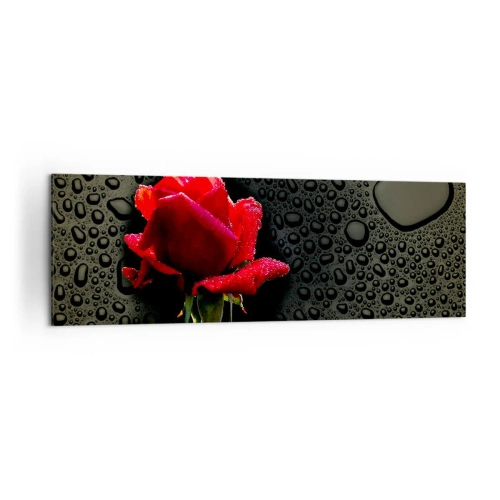 Cuadro sobre lienzo - Impresión de Imagen - Rosa roja con gotas de agua sobre un fondo oscuro - 160x50cm - Rojo y negro - Decoración de pared moderna para salón y dormitorio ARTTOR