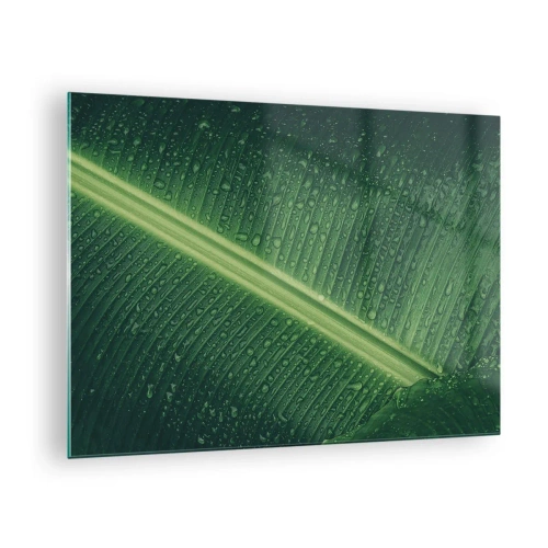 Cuadro sobre vidrio - Impresiones sobre Vidrio - Primer plano de una hoja verde con gotas de agua. - 70x50cm - Estructura del verde - Decoración de pared moderna para salón y dormitorio ARTTOR