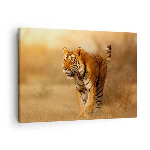 Cuadro sobre lienzo - Impresión de Imagen - Un tigre caminando por la sabana en colores cálidos. - 70x50cm - Antes del ataque - Decoración de pared moderna para salón y dormitorio ARTTOR