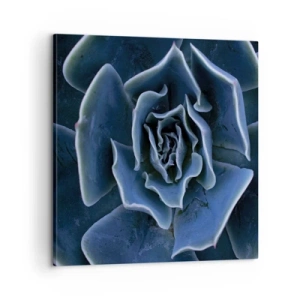 Cuadro sobre lienzo - Impresión de Imagen - Flor del desierto - 60x60 cm