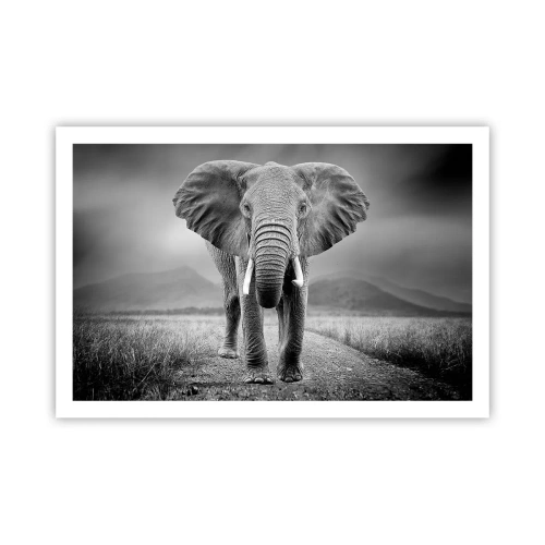 Póster - El anfitrión da la bienvenida - 91x61 cm