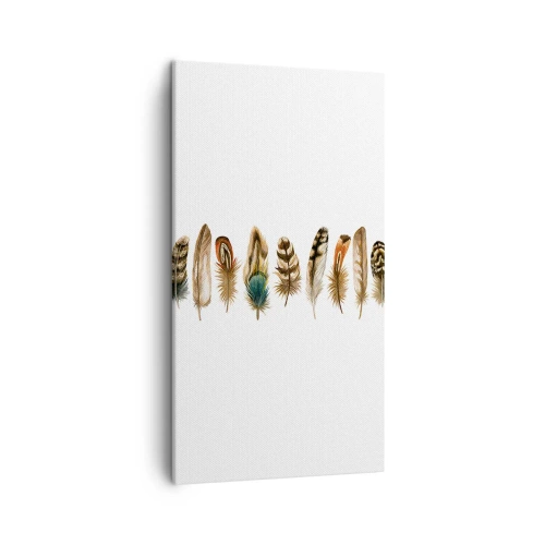 Cuadro sobre lienzo - Impresión de Imagen - Estudio de plumas - 45x80 cm