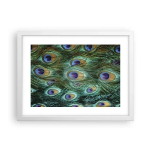 Póster en marco blanco - Mirada de pavo real - 40x30 cm