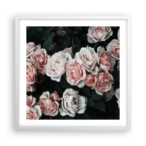 Póster en marco blanco - Conjunto de rosas - 50x50 cm