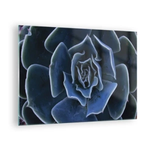Cuadro sobre vidrio - Impresiones sobre Vidrio - Fotografía macro de una suculenta en tonos de azul frío. - 70x50cm - Flor del desierto - Decoración de pared moderna para salón y dormitorio ARTTOR