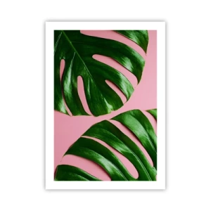 Póster - Hojas de monstera sobre fondo rosa en estilo minimalista. - 50x70cm - Cita con el verde - Decoración de pared moderna para salón y dormitorio ARTTOR
