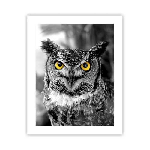 Póster - Nada se puede ocultar - 40x50 cm