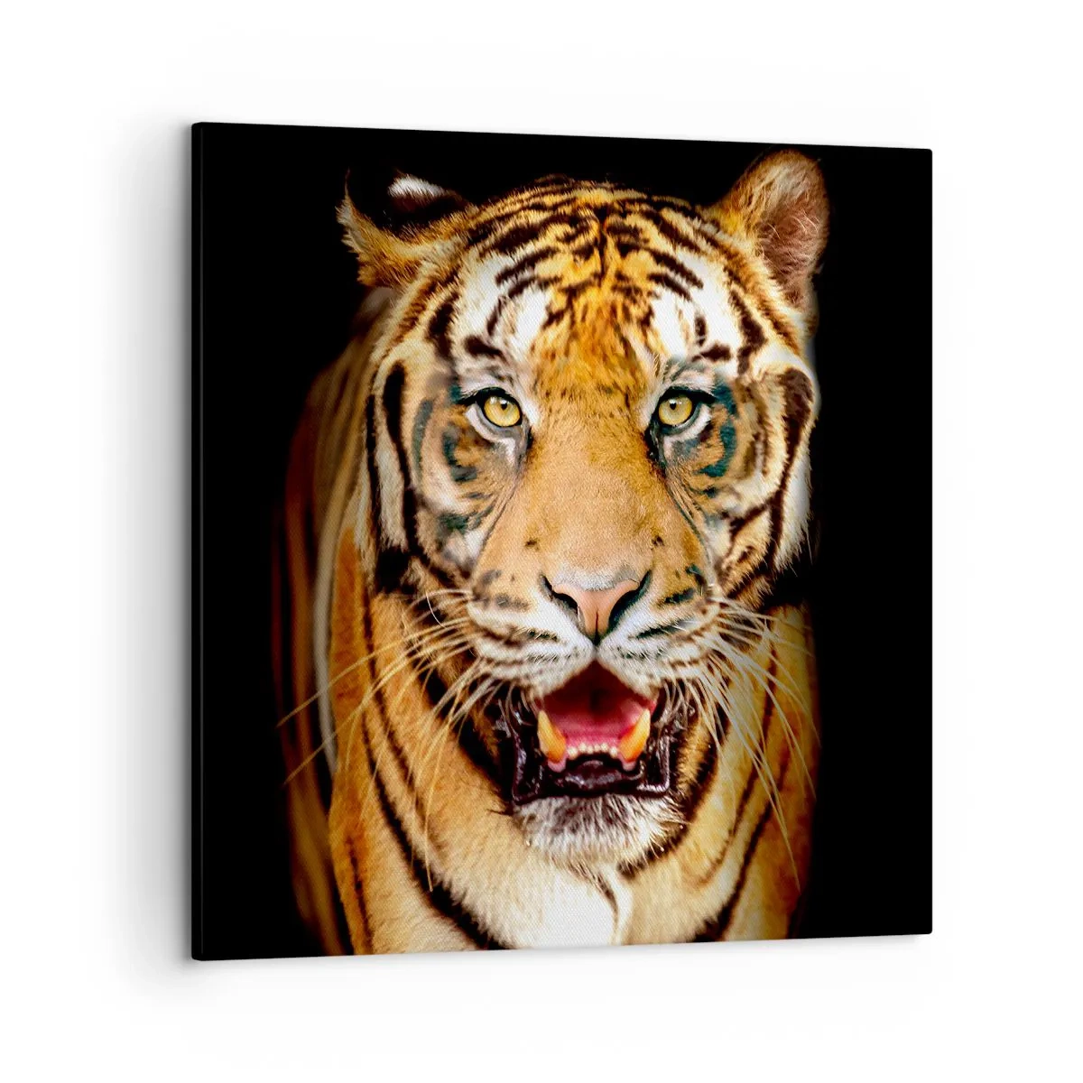 Cuadro sobre lienzo - Impresión de Imagen - Salvaje de corazón - 50x50 cm