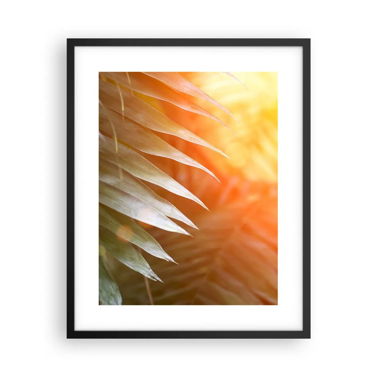 Póster en marco negro - Mañana en la selva - 40x50 cm