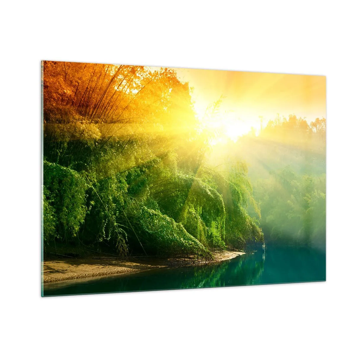 Cuadro sobre vidrio - Impresiones sobre Vidrio - Rayos de sol sobre la vegetación verde junto al río. - 100x70cm - Ahogarse en el sol y la sombra - Decoración de pared moderna para salón y dormitorio ARTTOR