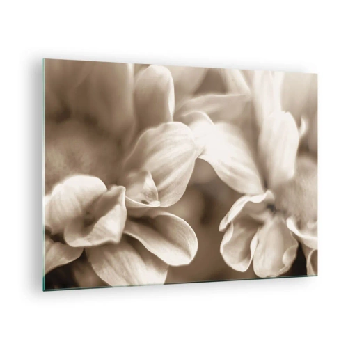 Cuadro sobre vidrio - Impresiones sobre Vidrio - Fotografía macro de pétalos de flores claras en sepia. - 70x50cm - Suave como una sonrisa - Decoración de pared moderna para salón y dormitorio ARTTOR