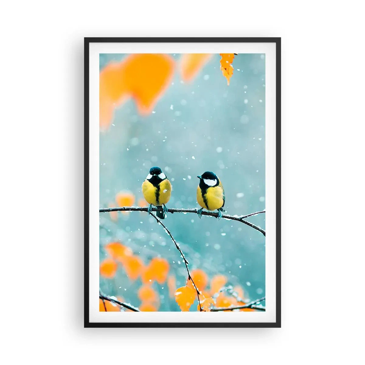 Póster en marco negro - Cotilleo de pájaros - 61x91 cm