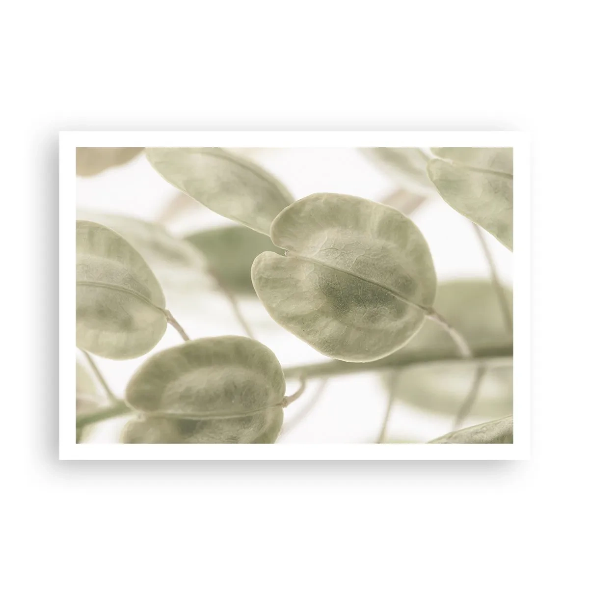 Póster - Una delicada pintura de hojas en tonos pastel de verde sobre un fondo claro. - 100x70cm - Al principio de los tiempos había hojas... - Decoración de pared moderna para salón y dormitorio ARTTOR