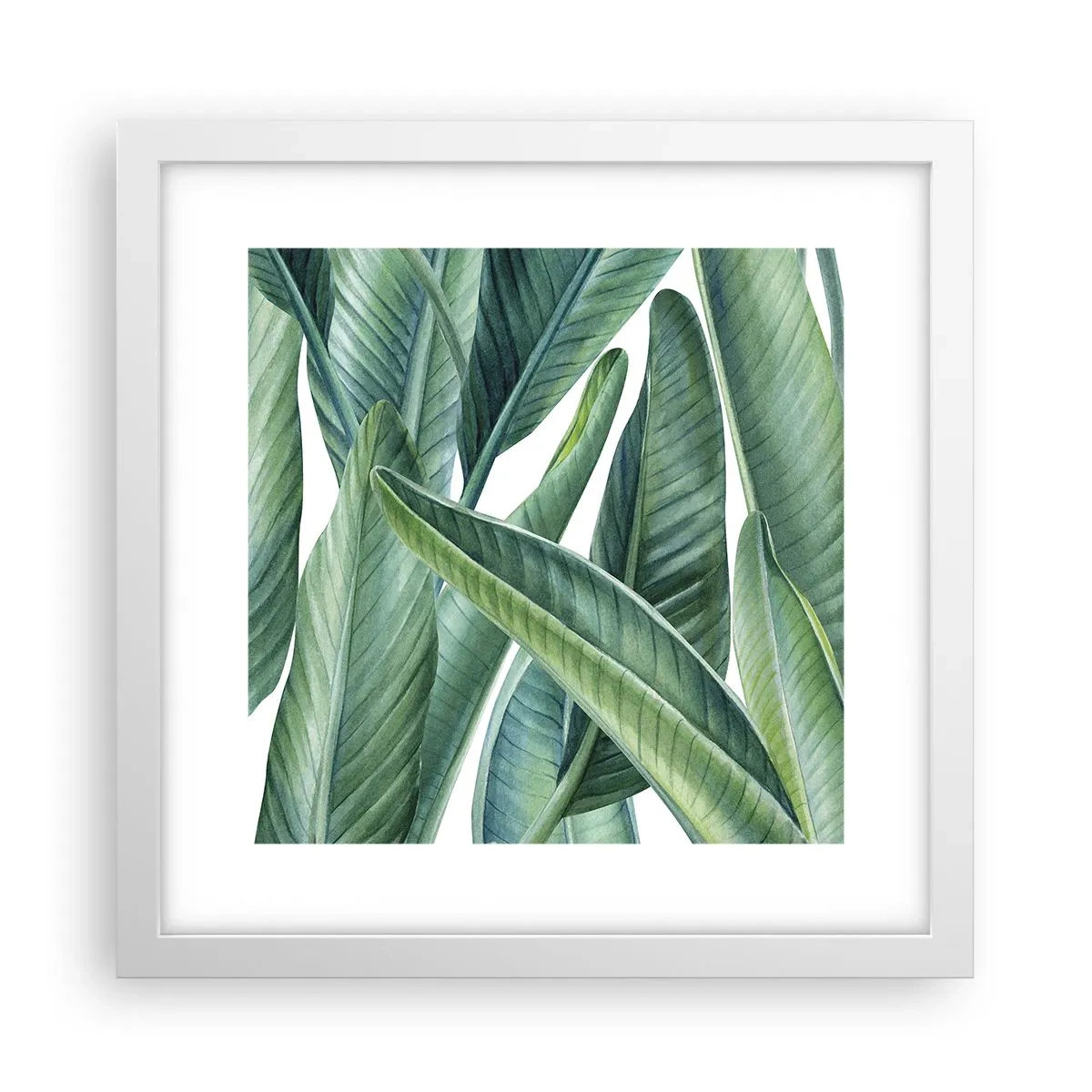 Póster en marco blanco - Vegetación en estado puro - 30x30 cm