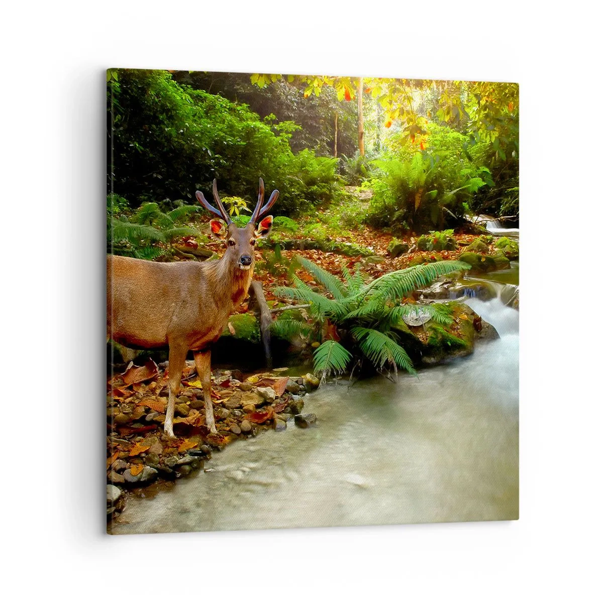 Cuadro sobre lienzo - Impresión de Imagen - Bienvenido a mi mundo - 50x50 cm