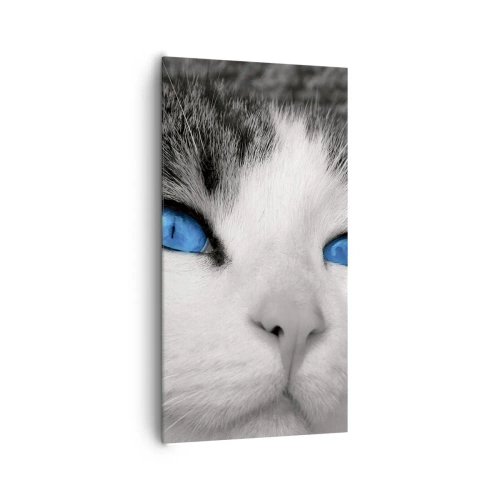 Cuadro sobre lienzo - Impresión de Imagen - Inusual de ojos azules - 65x120 cm