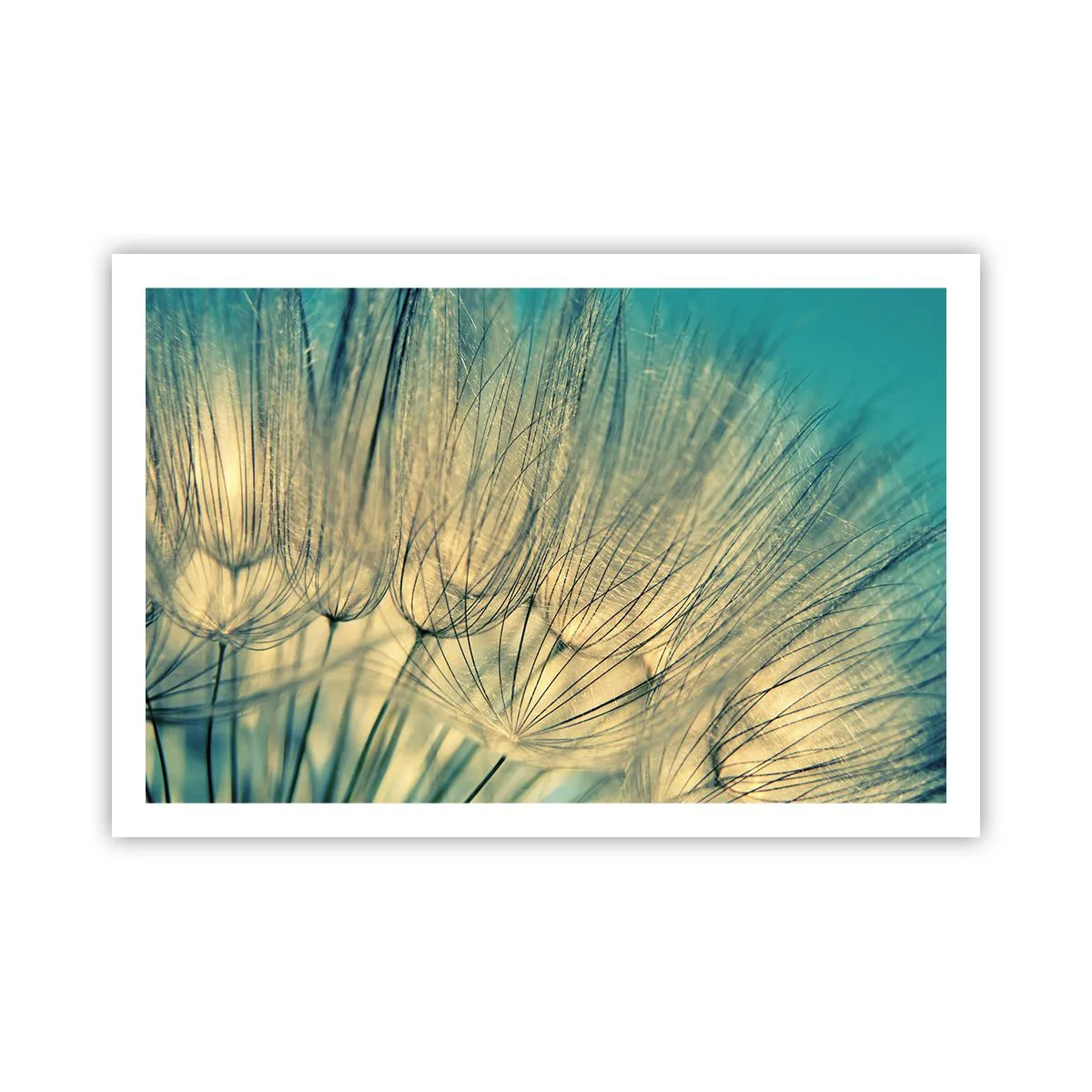 Póster - Esperando el viento - 91x61 cm