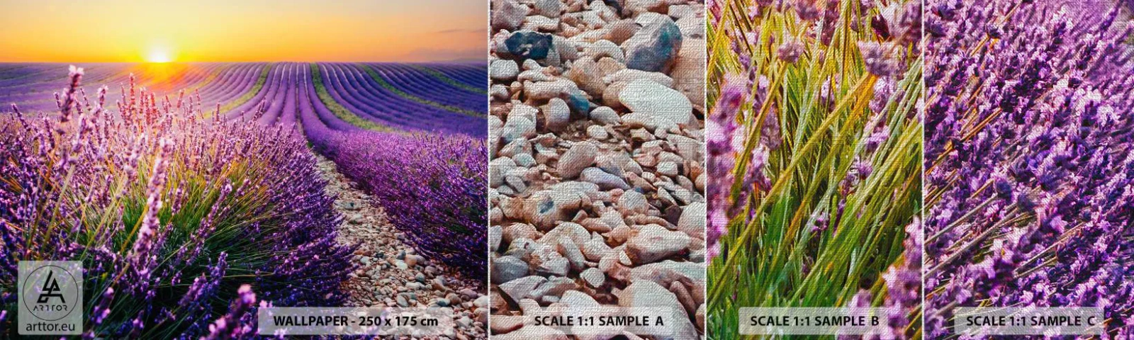 Muestra de fotomural Premium Canvas - Pradera fragante - Paisaje, campo de lavanda, Provenza - 100x30 cm