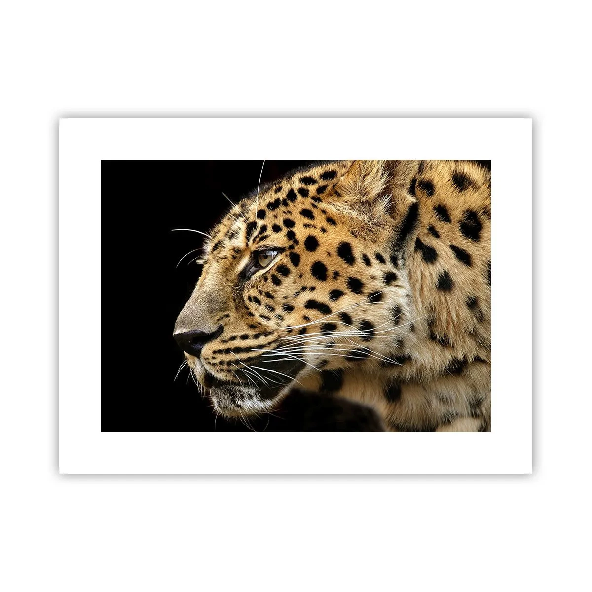Póster - Tranquilo, concentrado, preparado - 40x30 cm
