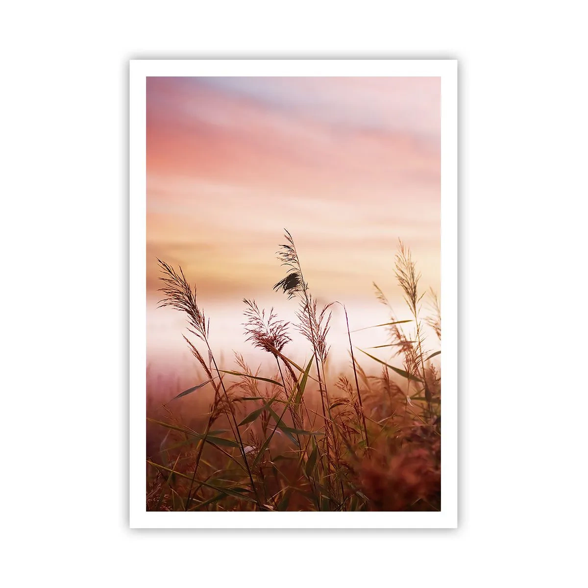 Póster - El arte del viento - 70x100 cm