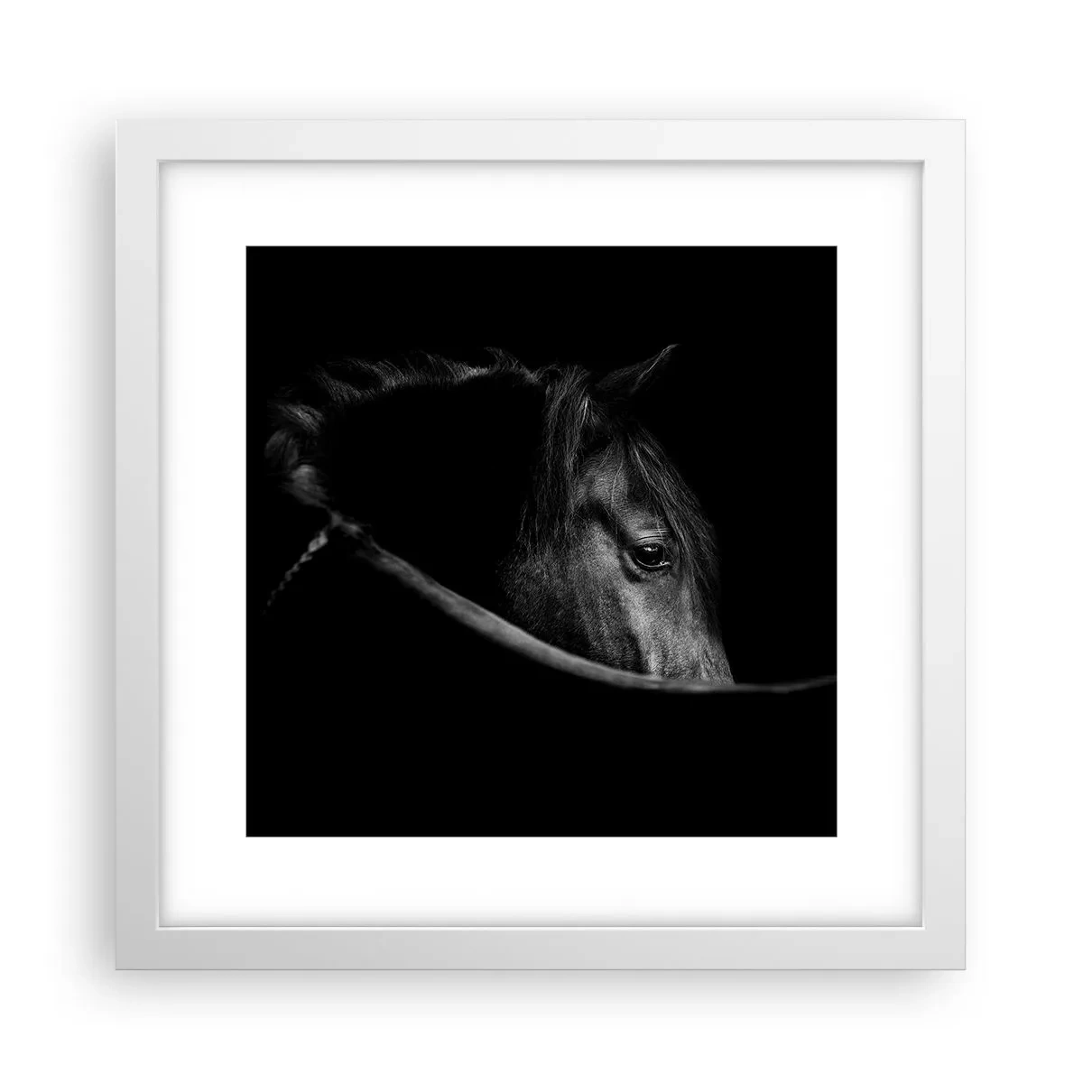 Póster en marco blanco - Príncipe negro - 30x30 cm