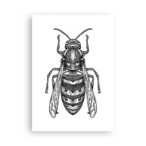 Póster - Desde un planeta de insectos - 70x100 cm