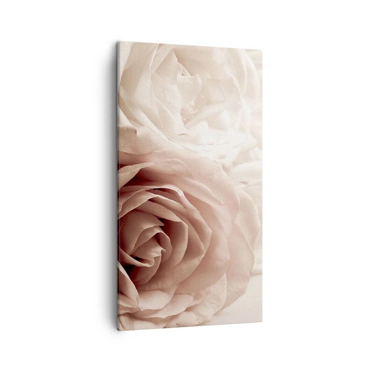 Cuadro sobre lienzo - Impresión de Imagen - En el corazón de una rosa - 45x80 cm