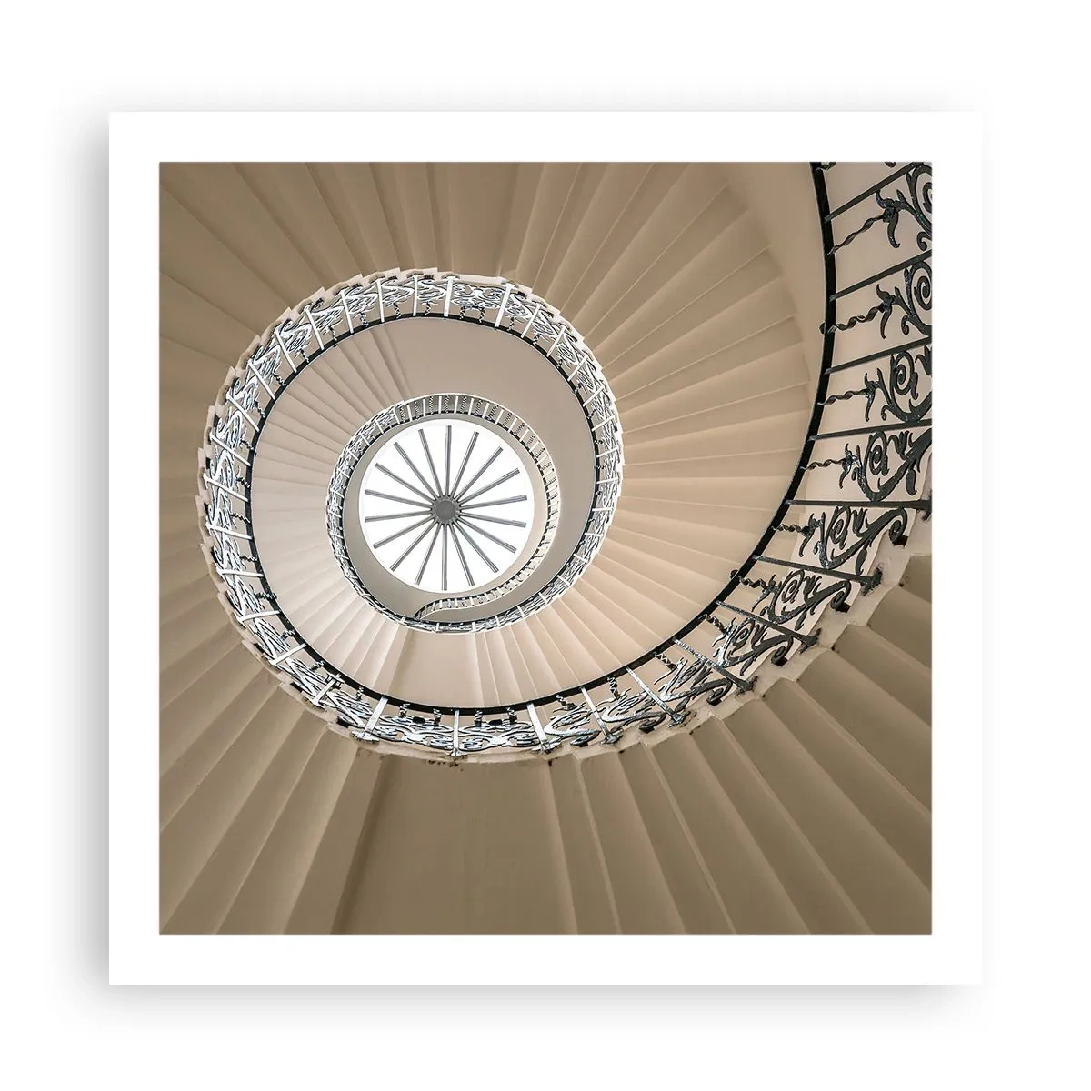 Póster - En el interior de una concha - 60x60 cm