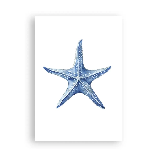 Póster - Estrella de mar - 70x100 cm