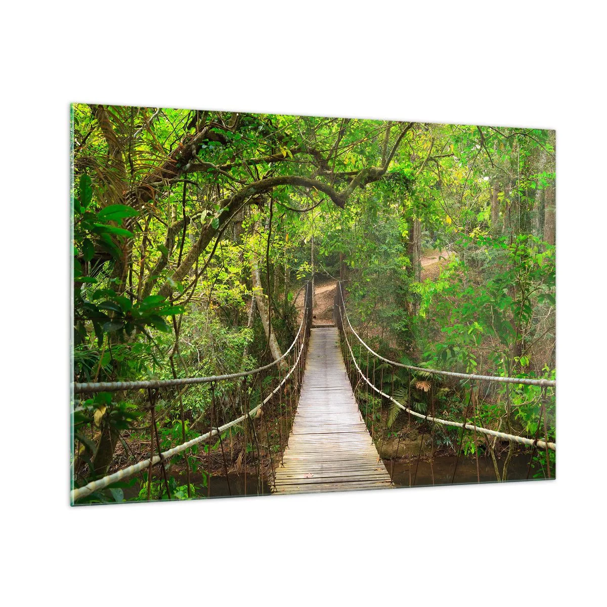 Cuadro sobre vidrio - Impresiones sobre Vidrio - Puente colgante en un bosque tropical - 100x70cm - Porque la vid crece en el jardín - Decoración de pared moderna para salón y dormitorio ARTTOR