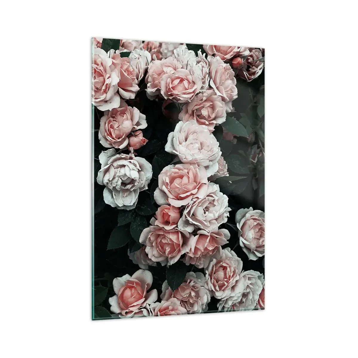 Cuadro sobre vidrio - Impresiones sobre Vidrio - Rosas rosadas sobre un fondo oscuro en una composición sutil. - 80x120cm - Conjunto de rosas - Decoración de pared moderna para salón y dormitorio ARTTOR