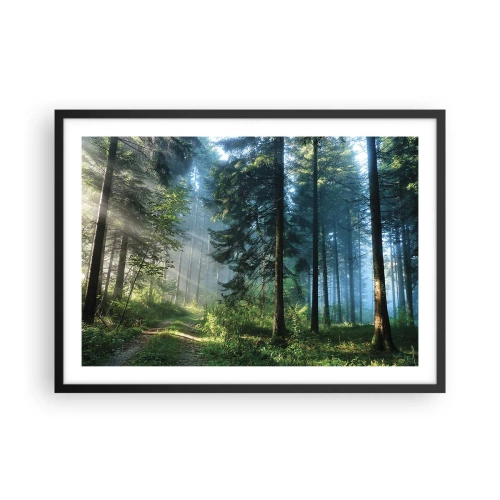 Póster en marco negro - Un sendero forestal iluminado por los rayos del sol de la mañana. - 70x50cm - Radiante por la mañana - Decoración de pared moderna para salón y dormitorio ARTTOR