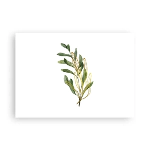 Póster - La vida se abre camino - 70x50 cm