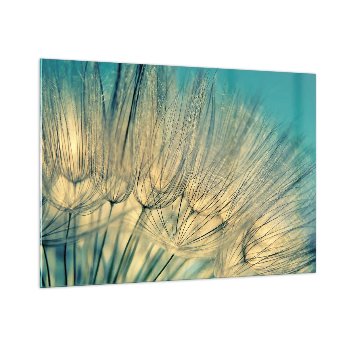 Cuadro sobre vidrio - Impresiones sobre Vidrio - Fotografía macro de un diente de león sobre un fondo turquesa. - 100x70cm - Esperando el viento - Decoración de pared moderna para salón y dormitorio ARTTOR