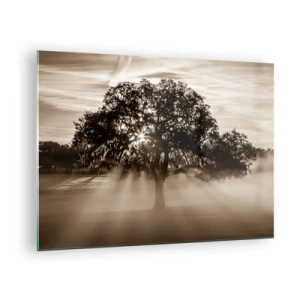 Cuadro sobre vidrio - Impresiones sobre Vidrio - Un árbol en la niebla de la mañana con rayos de sol brillando a través de las ramas. - 70x50cm - Un árbol de buenas noticias  - Decoración de pared moderna para salón y dormitorio ARTTOR