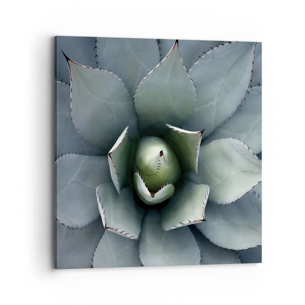 Cuadro sobre lienzo - Impresión de Imagen - Perfección natural - 70x70 cm