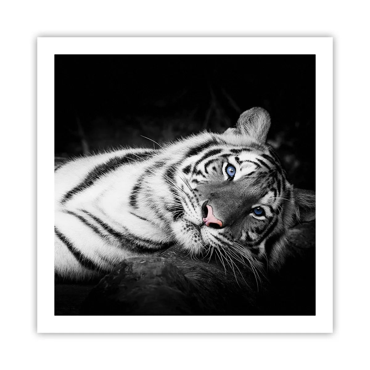 Póster - Salvaje y tranquilo - 60x60 cm