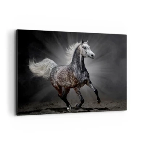 Cuadro sobre lienzo - Impresión de Imagen - Un caballo blanco galopando sobre un fondo oscuro. - 120x80cm - El gris es hermoso - Decoración de pared moderna para salón y dormitorio ARTTOR