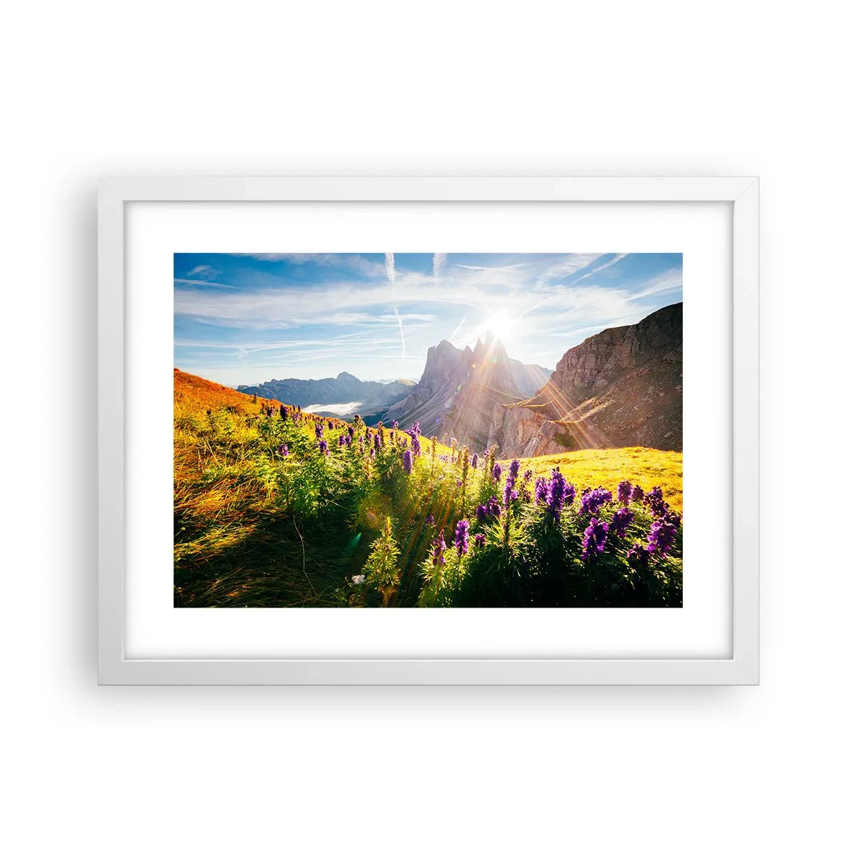 Póster en marco blanco - La vida secreta de las hierbas - 40x30 cm