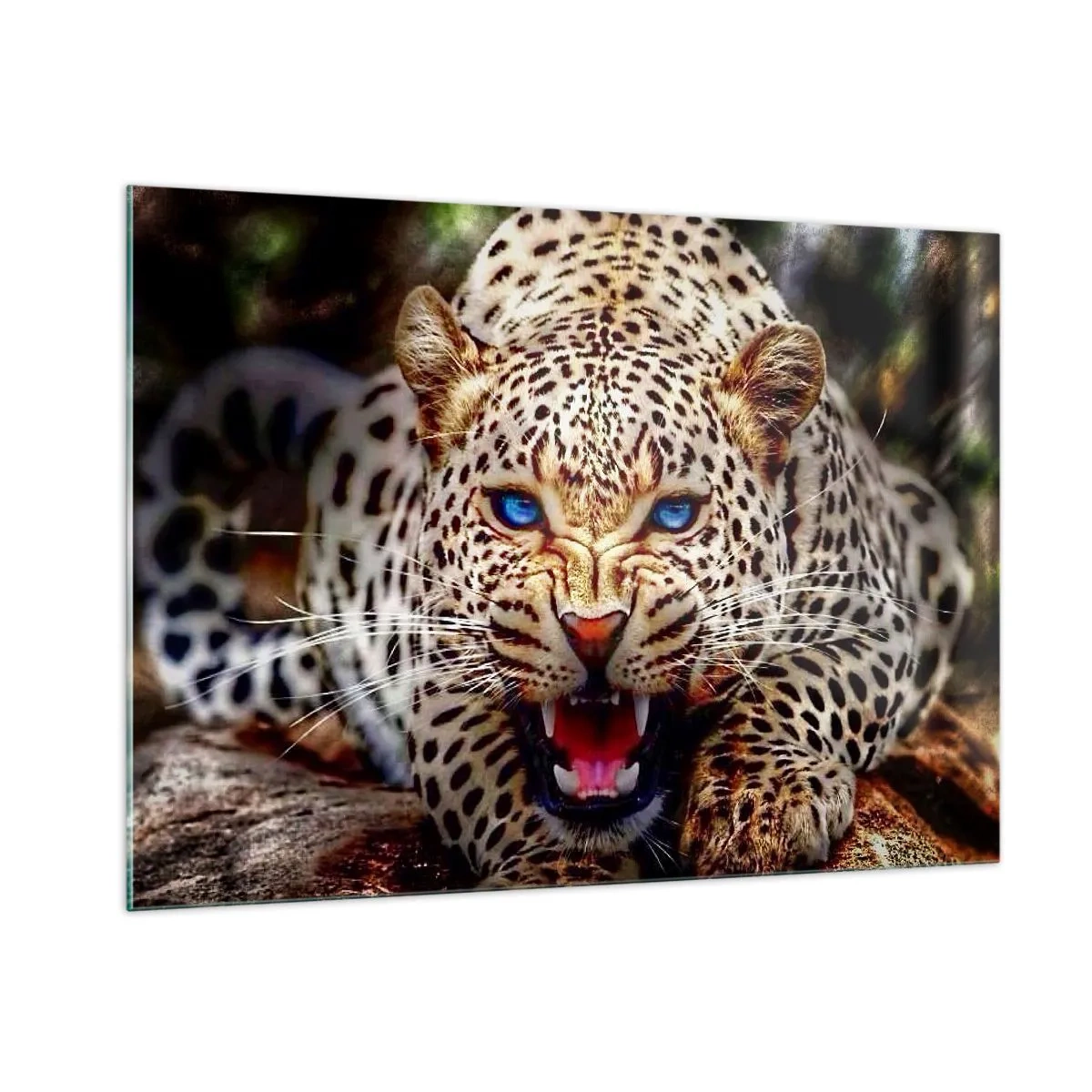 Cuadro sobre vidrio - Impresiones sobre Vidrio - Un feroz leopardo de ojos azules en estado salvaje. - 100x70cm - La ira no daña la belleza - Decoración de pared moderna para salón y dormitorio ARTTOR