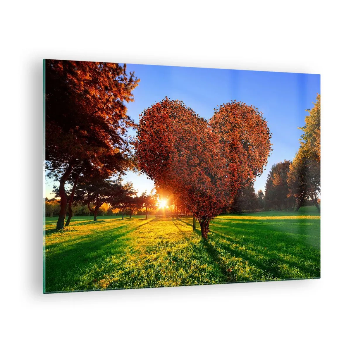 Cuadro sobre vidrio - Impresiones sobre Vidrio - Un árbol en forma de corazón con el sol poniente como telón de fondo. - 70x50cm - Y cómo no amar el otoño - Decoración de pared moderna para salón y dormitorio ARTTOR