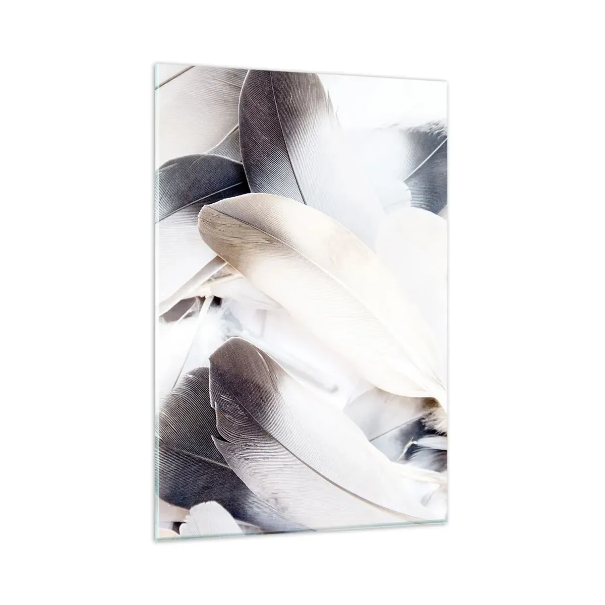 Cuadro sobre vidrio - Impresiones sobre Vidrio - Primer plano de delicadas plumas en tonos blancos y grises. - 80x120cm - Casi angelical - Decoración de pared moderna para salón y dormitorio ARTTOR