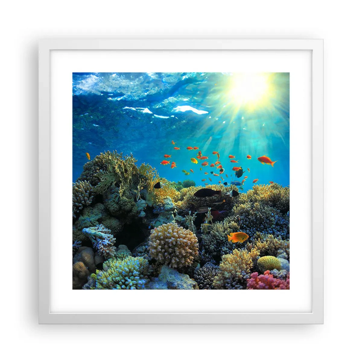 Póster en marco blanco - Tesoros submarinos - 40x40 cm