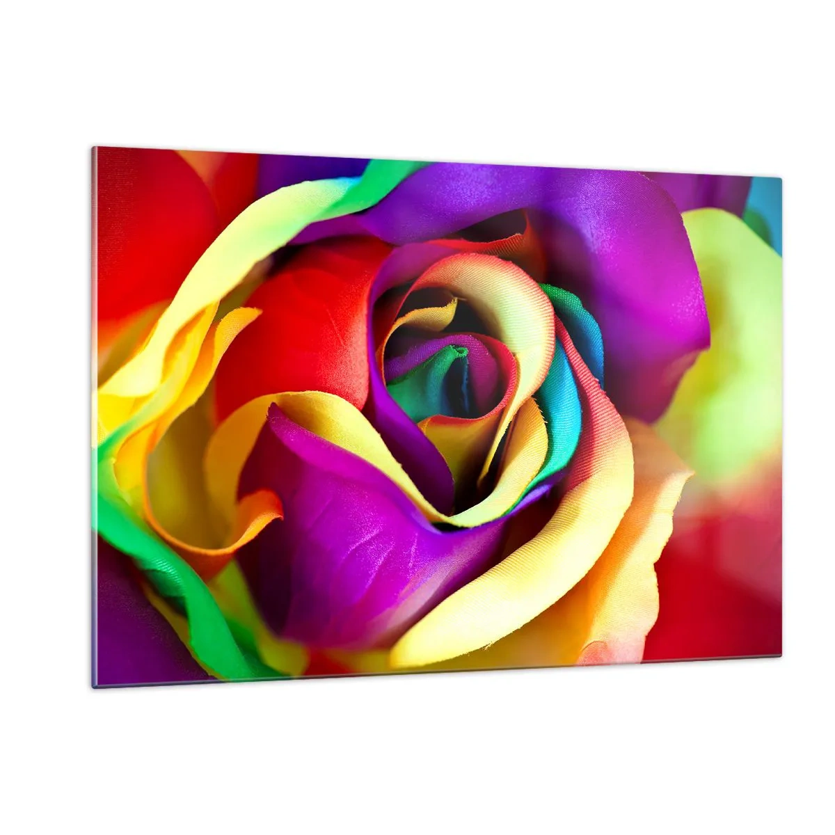 Cuadro sobre vidrio - Impresiones sobre Vidrio - Una rosa colorida en colores del arco iris. - 120x80cm - Es imposible - Decoración de pared moderna para salón y dormitorio ARTTOR