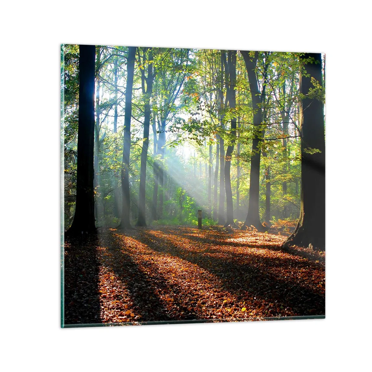 Cuadro sobre vidrio - Impresiones sobre Vidrio - Resplandores y sombras - 30x30 cm