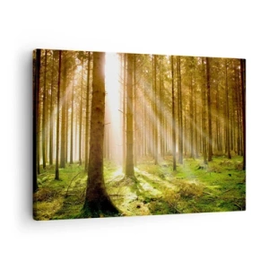 Cuadro sobre lienzo - Impresión de Imagen - Bosque de coníferas con rayos de sol brillando a través de los árboles. - 70x50cm - Los elfos se aproximan - Decoración de pared moderna para salón y dormitorio ARTTOR