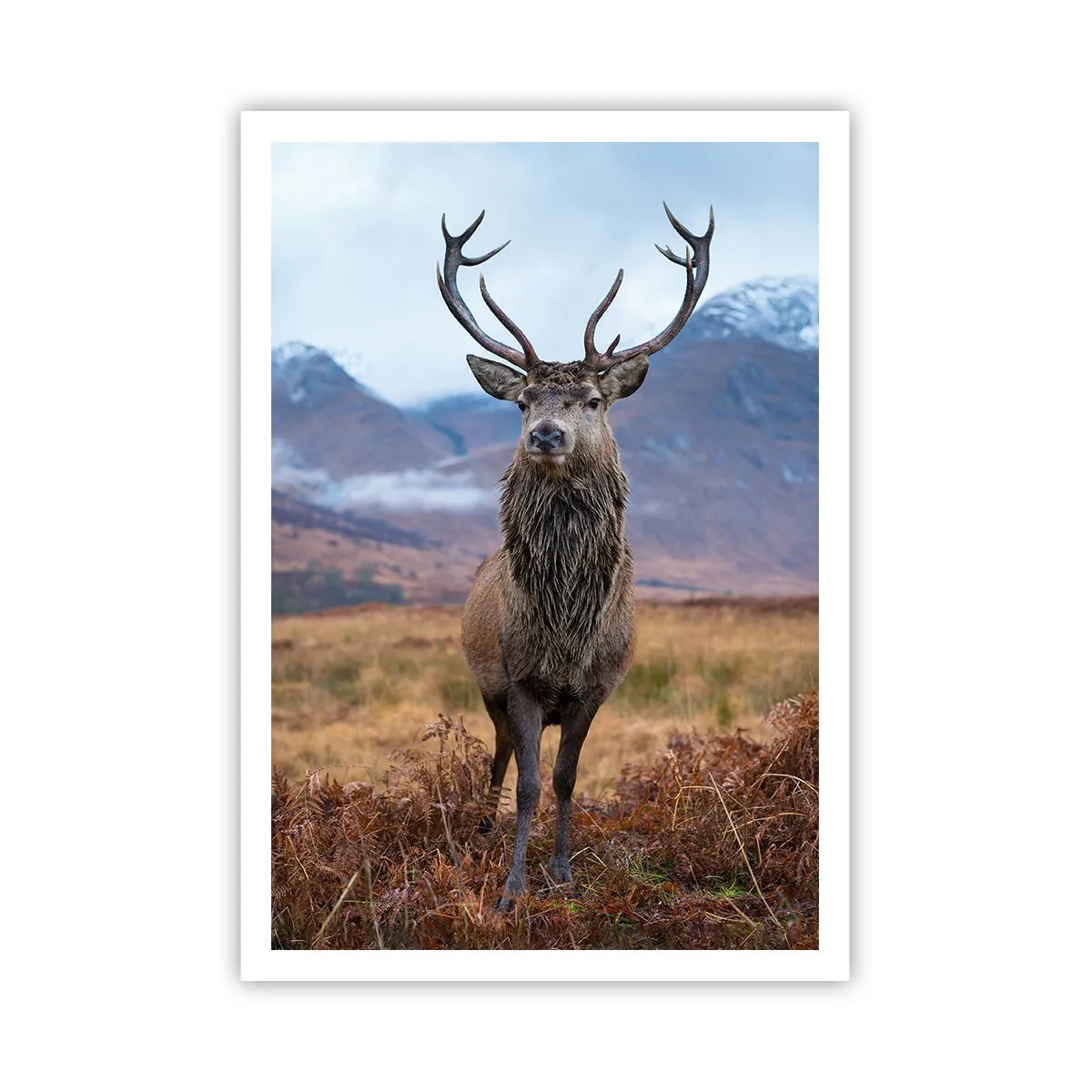 Póster - En mi propia tierra - 70x100 cm