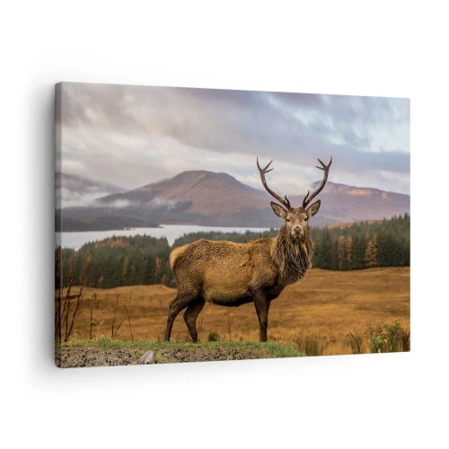 Cuadro sobre lienzo - Impresión de Imagen - Un ciervo con el telón de fondo de un paisaje montañoso con lagos y bosques. - 70x50cm - La majestuosidad de la naturaleza - Decoración de pared moderna para salón y dormitorio ARTTOR