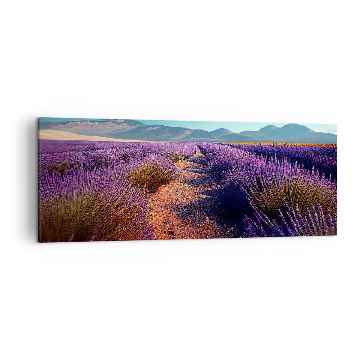 Cuadro sobre lienzo - Impresión de Imagen - Un campo de lavanda con vistas a las montañas y al cielo azul. - 140x50cm - Campos fragantes - Decoración de pared moderna para salón y dormitorio ARTTOR